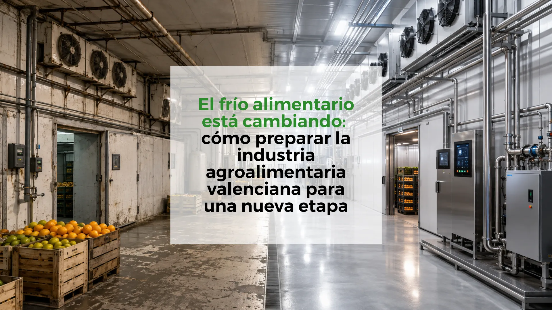 El-frío-alimentario-está-cambiando:-cómo-preparar-la-industria-agroalimentaria-valenciana-para-una-nueva-etapa